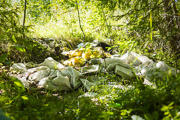 Image showing Pile of garbage piled in wild woods