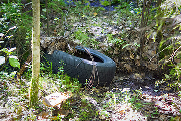 Image showing Junk in the wild forest