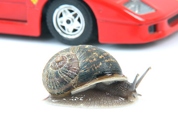 Image showing snail and car