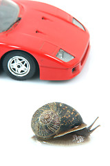 Image showing sports snail