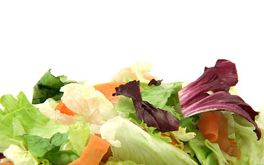 Image showing vegetarian texture