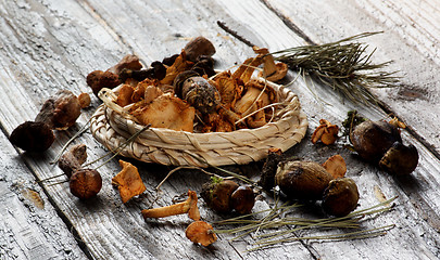 Image showing Arrangement of Dried Mushrooms