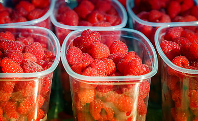 Image showing Raspberries in containers for sale.