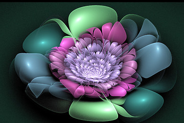 Image showing Fractal image is: virtual flowers.