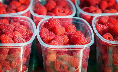 Image showing Raspberries in containers for sale.