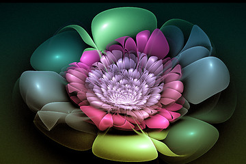 Image showing Fractal image is: virtual flowers.