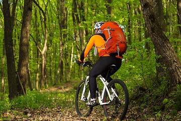 Image showing Man bikes in the green forest