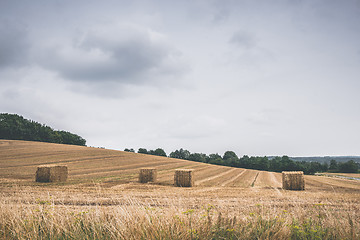 Image showing Landscape with hay bales on a field