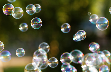 Image showing Soap bubbles