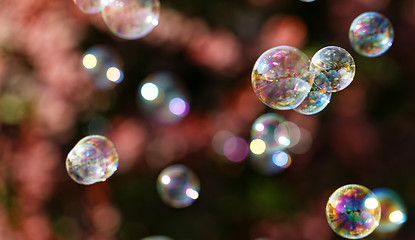 Image showing Soap bubbles