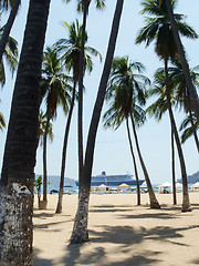 Image showing Palm trees on Acapulco beach