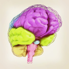 Image showing Creative concept of the human brain. 3D illustration. Vintage st