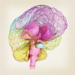 Image showing Creative concept of the human brain. 3D illustration. Vintage st