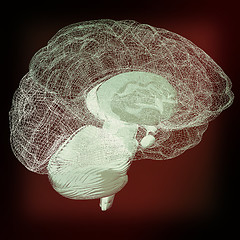 Image showing Creative concept of the human brain. 3D illustration. Vintage st