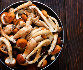 Image showing raw mushrooms