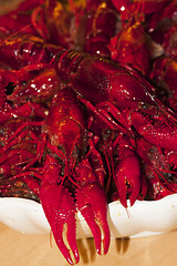 Image showing crayfish