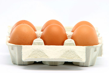 Image showing eggbox