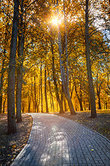 Image showing Autumn  in park