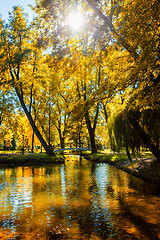 Image showing Autumn  in park