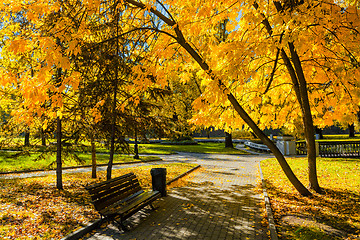 Image showing Autumn  in park