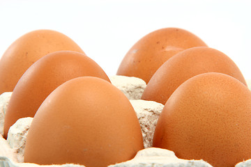 Image showing isolated eggs
