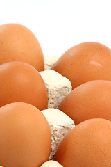 Image showing eggs vertical