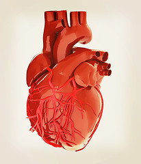 Image showing Human heart. 3D illustration. Vintage style.