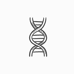 Image showing DNA sketch icon.