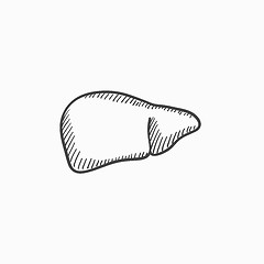Image showing Liver sketch icon.