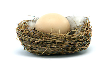 Image showing brown egg in nest