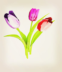 Image showing Tulip flower. 3D illustration. Vintage style.