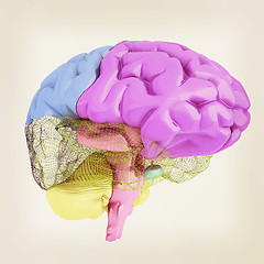 Image showing Creative concept of the human brain. 3D illustration. Vintage st