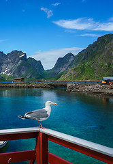 Image showing Lofoten archipelago islands