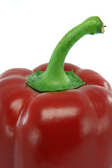 Image showing closeup pepper