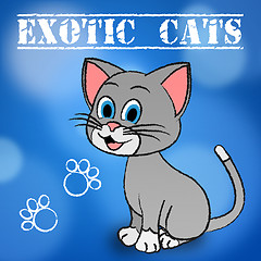 Image showing Exotic Cats Indicates Unique Puss And Feline