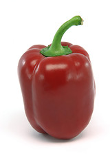 Image showing isolated red peper