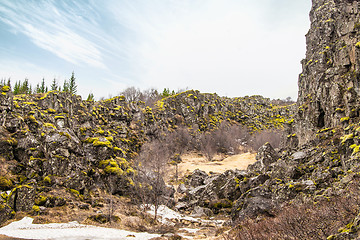 Image showing Moss on cliffs at Thingvellir national park