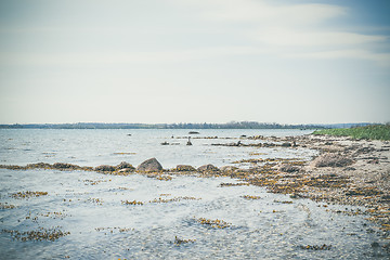 Image showing Beach with rocks by the sea