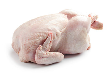 Image showing whole raw chicken