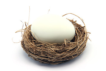 Image showing white egg on nest