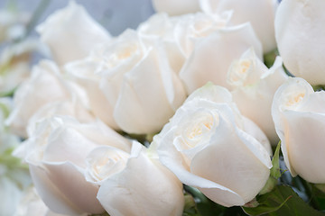 Image showing white roses. Soft focus and blurred background