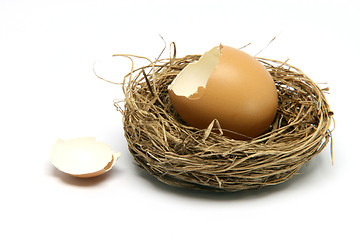 Image showing broken egg in nest