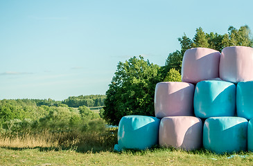 Image showing Large Round Bale Silage 