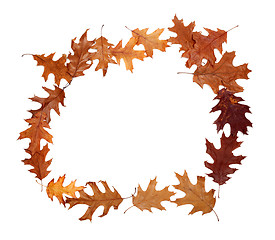 Image showing Frame of autumn dried oak leaves with copy space