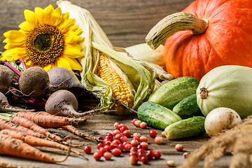 Image showing Harvest or Thanksgiving background