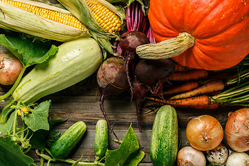 Image showing Closeup of freshly harvested vegetables