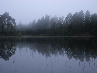 Image showing Stora Trehörnigen Lake, Tiveden National Park
