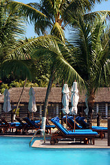 Image showing Water pool, deckchair, palms,resort