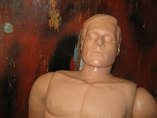 Image showing Crash test dummy