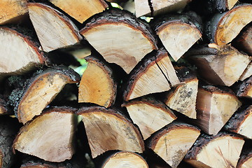 Image showing  heap firewood background